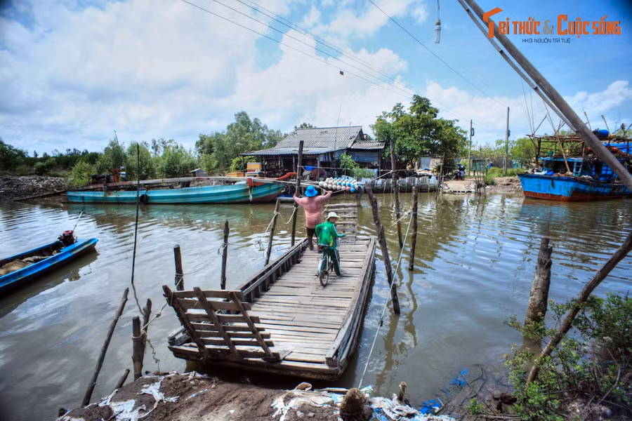 3. Một nét độc đáo khác của sông nước miền Tây là sự phổ biến của phà kéo dây, một phương tiện tự tạo dùng để đưa người và phương tiện, hàng hóa qua các kênh rạch. Những chiếc phà kiểu này thường được đóng bằng gỗ, bên dưới có các thùng phuy rỗng.
