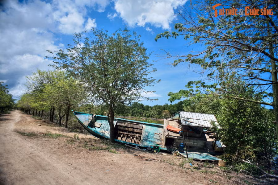 Có thể nói, ở miền Tây Nam Bộ, tàu thuyền là phương tiện giao thông phổ biến không khác gì xe ô tô ở vùng miền khác. Cũng giống như tài xế ô tô, những người lái tàu thuyền sẽ "dừng đỗ" ở những địa điểm thuận tiện nhất, nhiều khi là bên lề những con đường song song với kênh rạch.