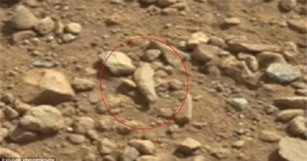 Một trong những bức ảnh do tàu thăm dò Curiosity gửi về Trái Đất cho thấy một vật thể lạ giống như hóa thạch ngón tay của con người trên bề mặt của sao Hỏa.