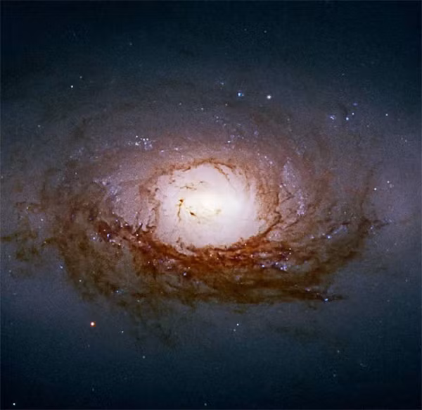 Một cấu trúc thú vị của các thiên hà xoắn ốc như Caldwell 40 (NGC 3626) là phần trung tâm phình ra - vùng dày đặc ngôi sao bao quanh thiên hà, chứa những hố đen siêu lớn.