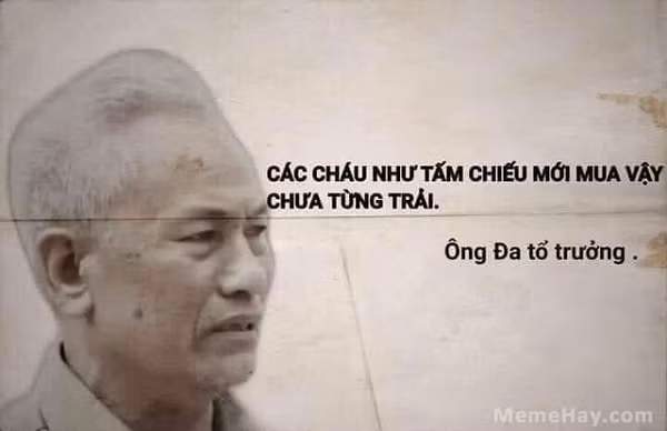 Cái Chiếu Mới là 1 thuật ngữ tiếng lóng thường được sử dụng với ý nghĩa “chưa từng trải”. Cụm từ này thường được xuất hiện dưới dạng trích dẫn ngắn hay câu hát lẻ chơi chữ.