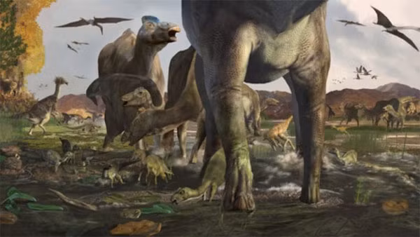 Ngoài những dấu vết trên, nhiều vết chân của khủng long sừng, khủng long therizinosaur và thằn lằn bay cũng được tìm thấy tại Denali. 80% dấu chân được cho là của khủng long trưởng thành và 13% của khủng long con.