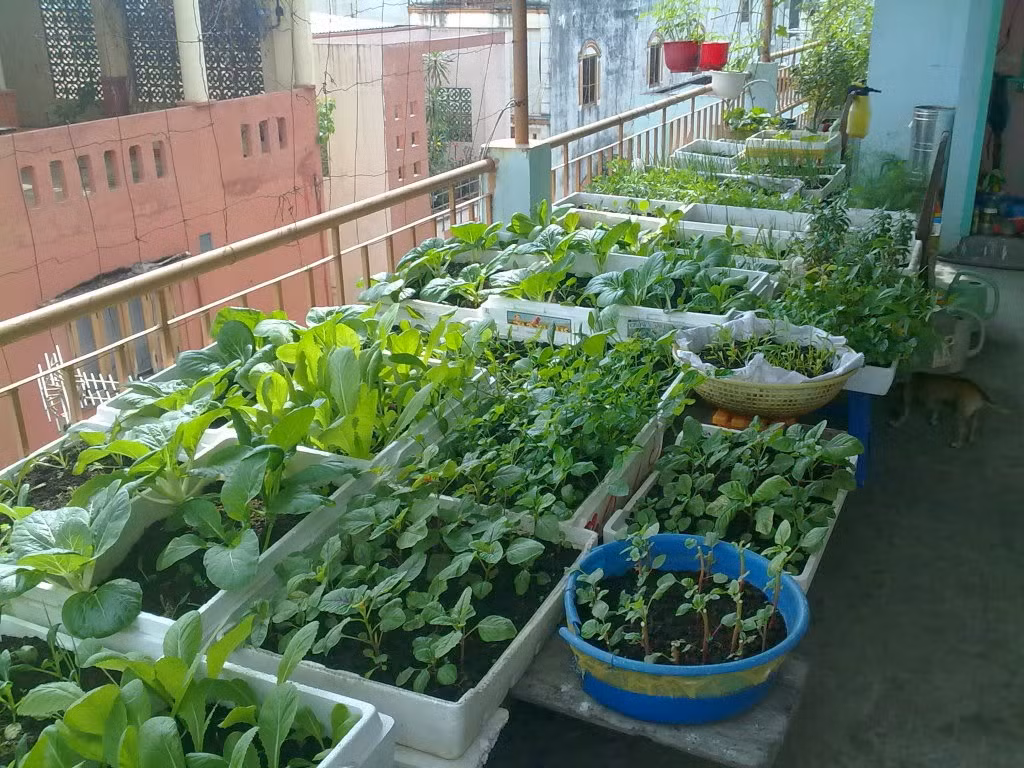 Trong bối cảnh khó kiểm soát thực phẩm bẩn như hiện nay, các chuyên gia dinh dưỡng khuyên người tiêu dùng nên tìm mua thực phẩm có nguồn gốc rõ ràng hoặc tự sản xuất một số thực phẩm cơ bản như rau ăn hàng ngày. 
