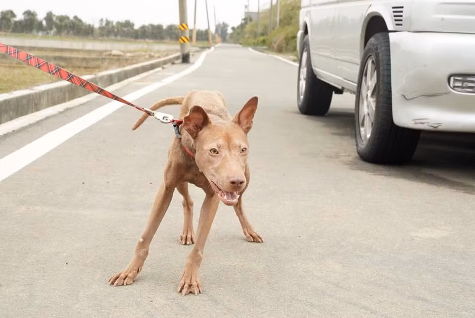 Nhìn hình ảnh này, trái tim bạn sẽ quặn thắt vì thương xót - Hình 4 Nhin hinh anh nay, trai tim ban se quan that vi thuong xot-Hinh-4