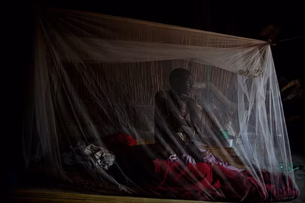 Chỉ tính riêng trong năm 2016, Quỹ Nhi đồng Liên Hợp Quốc (UNICEF) cho biết 184 nghìn trẻ nhỏ đã bị suy dinh dưỡng nghiêm trọng.