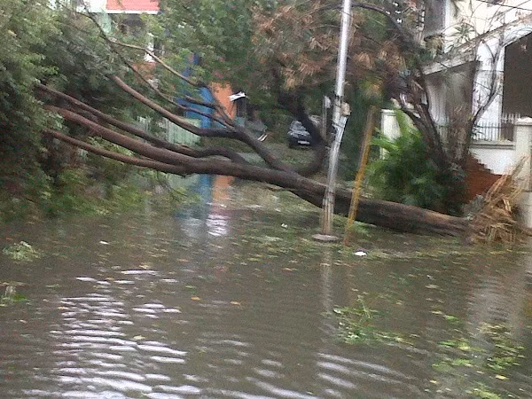 Bão Vardah đổ bộ vào thành phố Chennai làm ít nhất 10 người thiệt mạng hôm 13/12, nhiều nhà cửa bị phá hủy, cây xanh bị bật gốc và nhiều chuyến bay phải hủy bỏ. Ảnh: CNN.