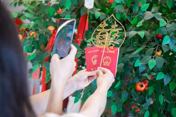 Sự cố bất ngờ và bi kịch vừa xảy ra tại Giang Tô, Trung Quốc, khi một chú rể bị bắt giữ ngay trong ngày trọng đại của đời mình. Nguyên nhân không phải là một vụ tranh chấp gia đình hay bất đồng giữa hai họ mà là do chính hành vi phạm pháp của anh ta - trồng và buôn bán cần sa. (Ảnh: Chinatimes, Sohu, Freepic, Thairath)