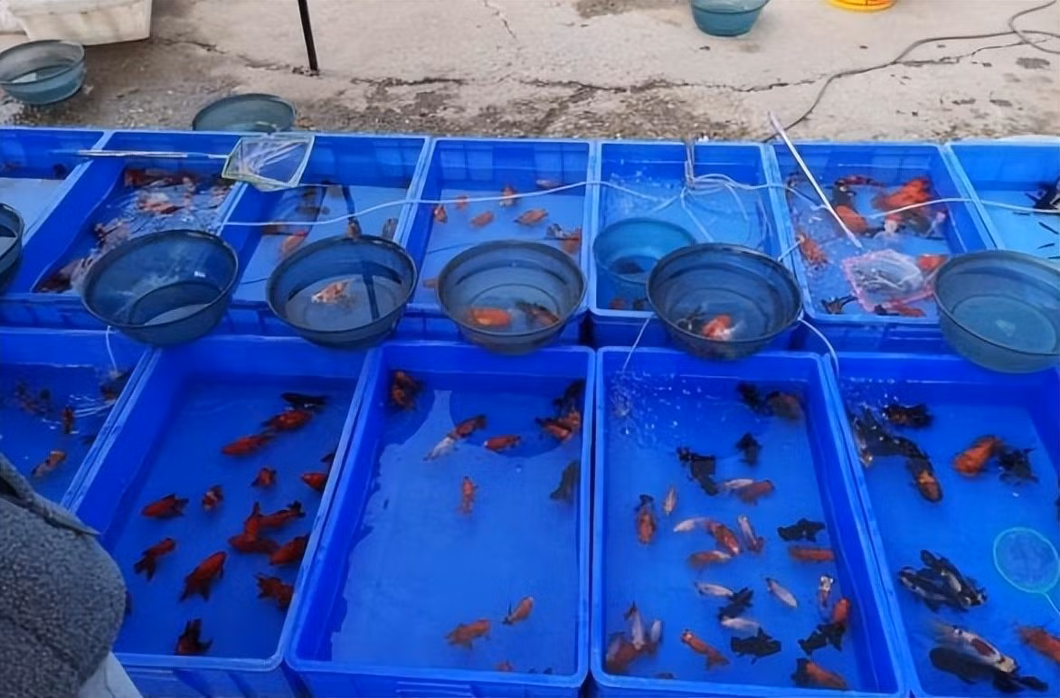 Be gai goi nham nguoi khac la bo, he lo cau chuyen khong ngo