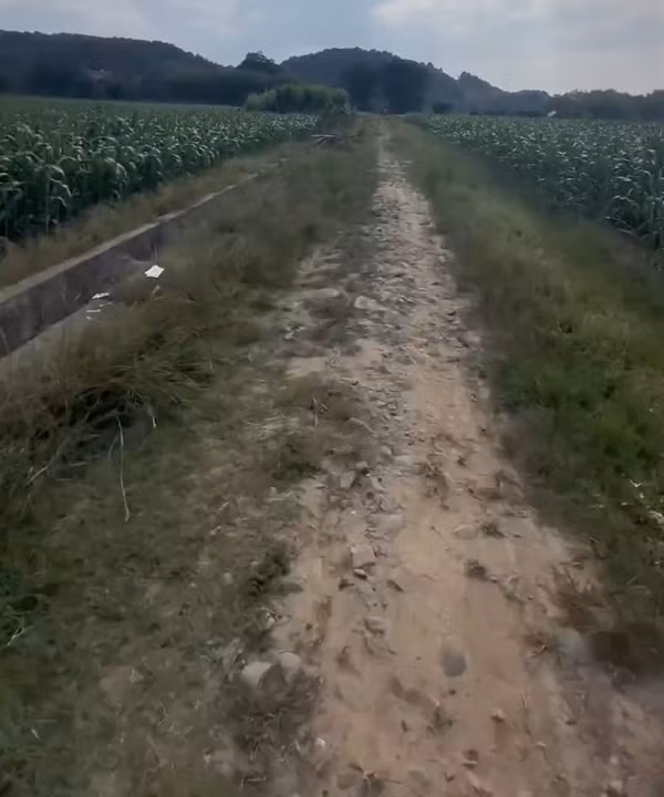 Một cán bộ làng Thượng Cam Đường tiết lộ, gia đình của nghi phạm đã đến nhà nạn nhân để xin lỗi. Trong khi đó, chính quyền thị trấn nơi gia đình bé gái cư ngụ cho biết họ đang an ủi và hỗ trợ gia đình nạn nhân.