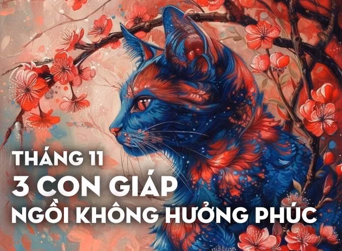 Bước sang tháng 11, các vì tinh tú như dệt nên những bức tranh rực rỡ, trải đường cho 3 con giáp Dần, Tý, Mão bước lên con đường rực sáng của may mắn và thành công. Họ đón nhận làn sóng may mắn liên tiếp, vừa có được sự công nhận về danh vọng, vừa phát lên trông thấy về tài vận, niềm vui tràn ngập cuộc sống.