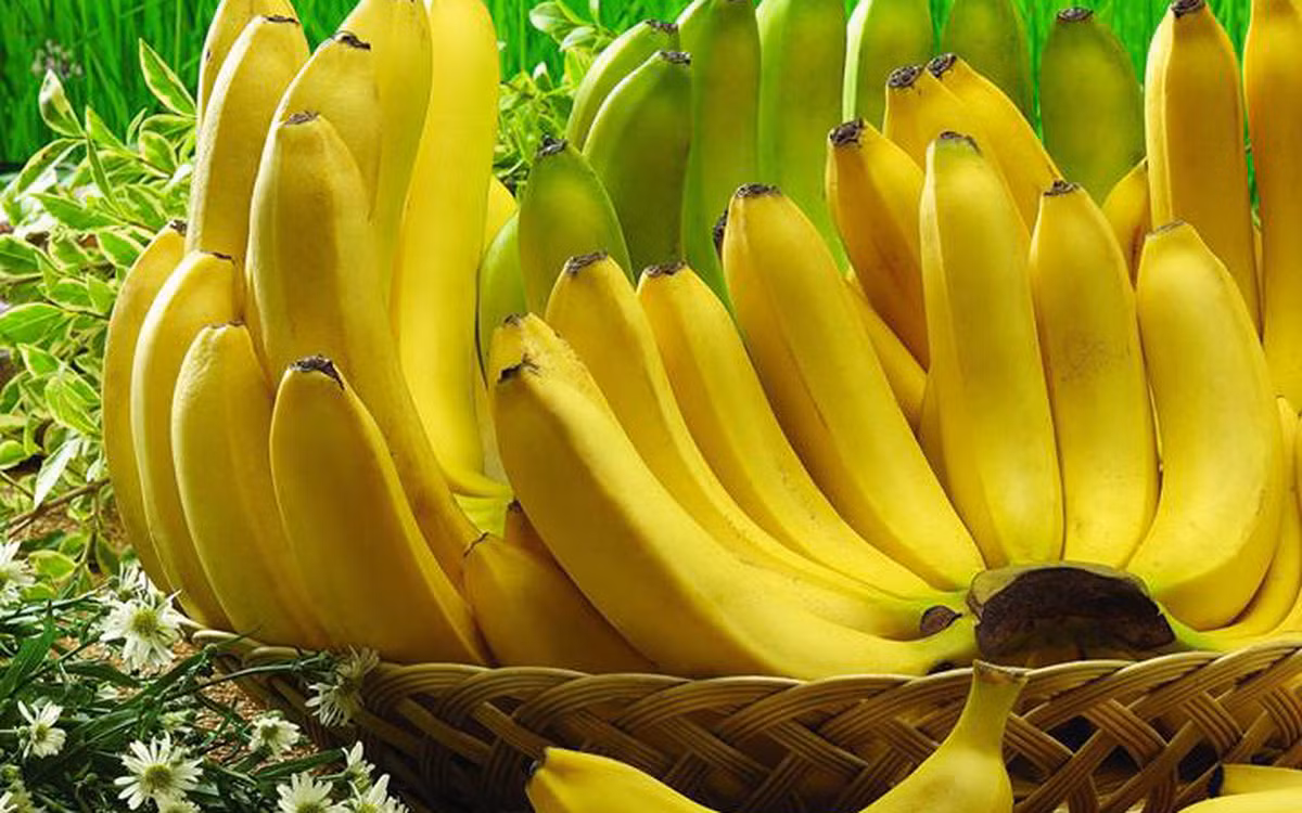 Trong trường hợp mua phải chuối bị ngâm, phun, ủ hoá chất, ăn vào cơ thể sẽ gây tổn thương một số cơ quan. Đáng nói, tổn thương như vậy hầu như không thể hồi phục.