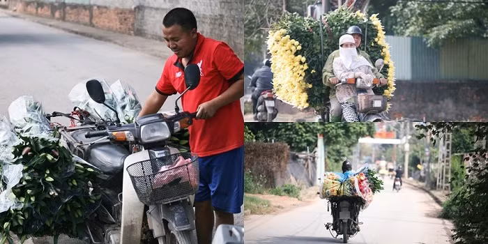 Người dân Tây Tựu cười tươi, hối hả cung cấp hoa đến thị trường dịp Tết Nguyên đán 2020.