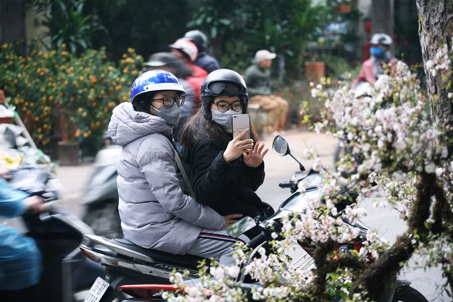 Nhiều cô gái khó cưỡng lại trước vẻ đẹp của loài hoa này nên đang đi đường cũng phải dừng lại để chụp ảnh.