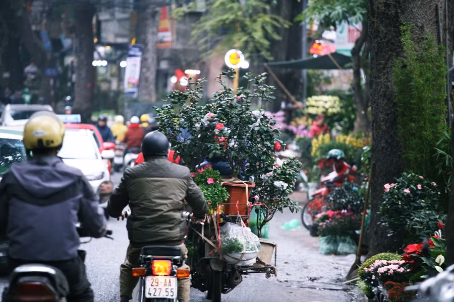 Đường Hoàng Hoa Thám ngập tràn sắc xuân trong những ngày Tết đến, xuân về.