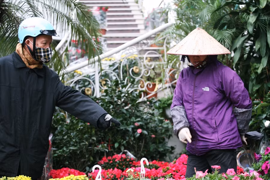 Không chỉ có phụ nữ, những người đàn ông cũng nhộn nhịp kéo về phố Hoàng Hoa Thám những ngày cận Tết Nguyên đán 2020 để mua hoa trang trí nhà cửa.