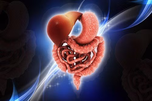 Cải thiện hệ tiêu hóa. Bên cạnh ưu điểm dễ tiêu hóa, chuối còn giúp đường tiêu hóa hồi phục nhanh chóng sau khi hoạt động mệt mỏi. Đây cũng là lý do vì sao chuối được các bà mẹ lựa chọn là một trong những thực phẩm rắn đầu tiên cho các bé ăn dặm.