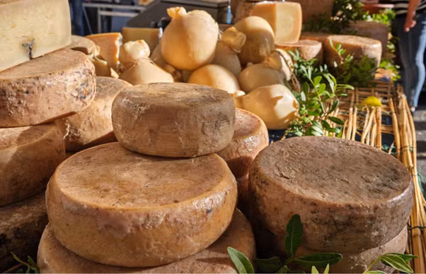 Phô mai Casu marzu: Hầu hết mọi người đều thích phô mai, nhưng loại phô mai Casu marzu được làm bằng cách để ruồi đẻ trứng trên phô mai cứng gọi là pecorino. Khi giòi nở ra, chúng sẽ ăn phô mai, điều này sẽ làm phô mai mềm ra và có hương vị độc đáo. Một số chuyên gia cảnh báo rằng, loại phô mai này rất có hại, đặc biệt đối với dạ dày.