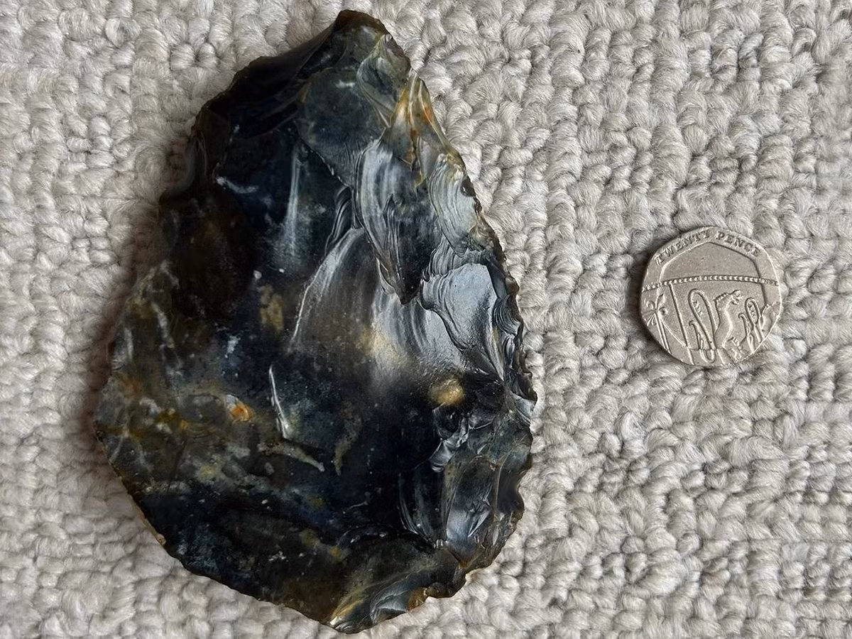 Ông Sainsbury cho biết rìu cầm tay của người Neanderthal tương đối nhỏ và là đá lửa hai mặt sẫm màu. Điều này khiến chúng dễ nhận biết. Ảnh: Worthing Museum.