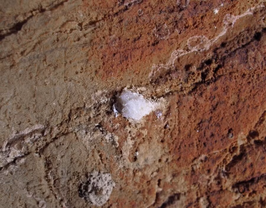 Các chuyên gia cho hay người Neanderthal chứ không phải người Homo sapiens đã tạo ra những tác phẩm nghệ thuật bên trong hang động Maltravieso.