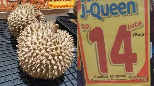 Sầu riêng J-Queen quả tròn, màu vàng, có vị bơ đậu phộng. Ảnh: Indonesia Expat.