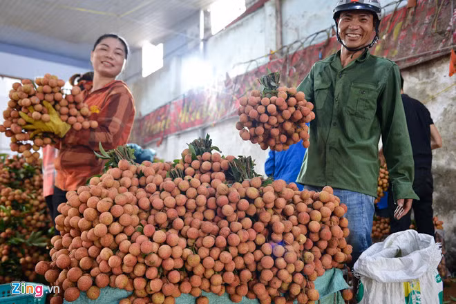 Cầm trên tay chùm vải nặng trĩu, anh Đỗ Văn Thành (ở huyện Lục Ngạn) phấn khởi nói: "Nhà tôi được hơn tấn vải thiều và khoảng 2-3 tạ vải Thanh Hà. Năm nay mất mùa so với mọi năm nhưng bù lại bán được giá tốt nên không khổ sở như mọi năm".