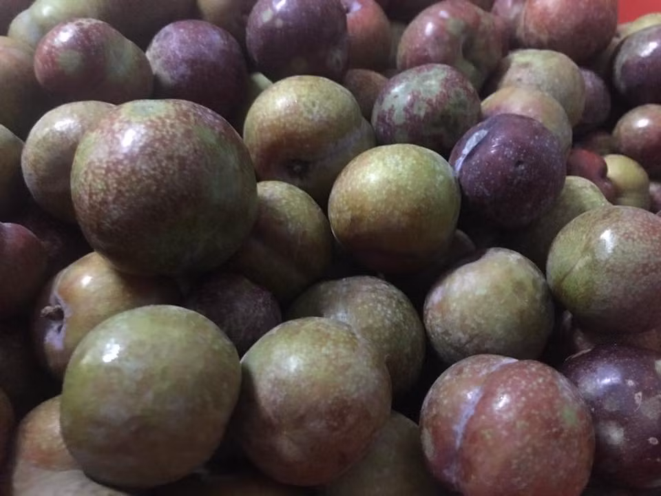 Mận hậu được chia thành 2 loại, loại 1 chín đều, quả to tròn căng thì giá đắt hơn khoảng 150.000 - 250.000 đồng. Ảnh: FB Bich Hao.