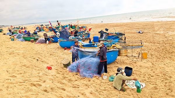 Ngày mùng 4 Tết Kỷ Hợi được chọn là ngày đi biển đầu tiên của ngư dân Thị trấn Phước Hải (huyện Đất Đỏ, Bà Rịa - Vũng Tàu). Ảnh: Tiền phong.