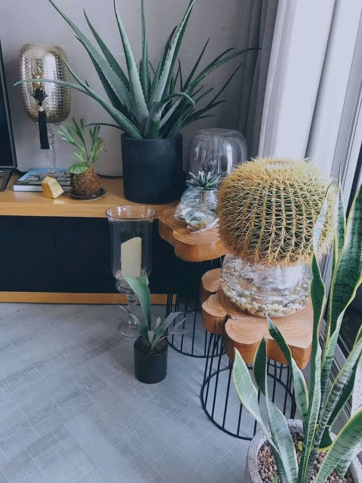 Nam diễn viên Đỗ An còn hài hước chia sẻ: "Cái nhà hay cái rừng? Mà chưa có đã gì hết". Ảnh: FB Do An.