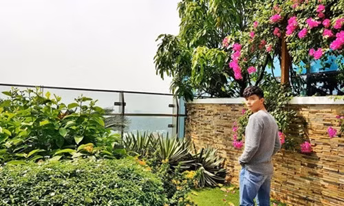 Ben trong biet thu rop bong cay xanh cua Nathan Lee