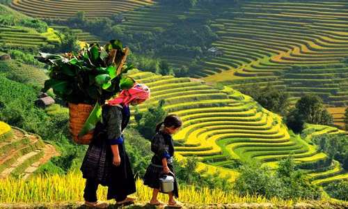 Hà Nội - Sa Pa là một trong những tour du lịch hút khách dành cho các kỳ nghỉ ngắn ngày. Dịp Tết Nguyên đán 2019, giá tour Hà Nội - Sa Pa thời gian 3 ngày 2 đêm dao động từ 2-5 triệu đồng. Ảnh: Vietravel.
