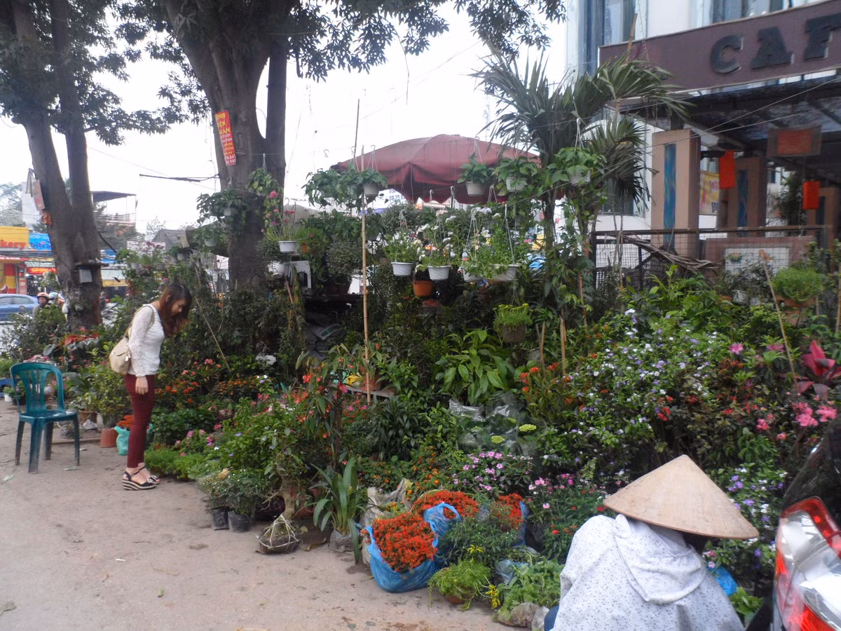 Vào dịp cuối năm, chợ Bưởi là nơi tề tựu của những người yêu hoa, cây cảnh ở khắp các nơi trong Hà Nội. Ảnh: Traiheviet.