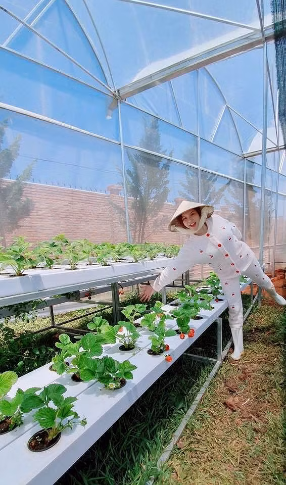 Lý Nhã Kỳ còn hài hước nhắn nhủ fan: “Không đòi ăn dâu nha vì không đủ Kỳ ăn nữa đó, đừng có nhắn tin đòi dâu tui nghen”.
