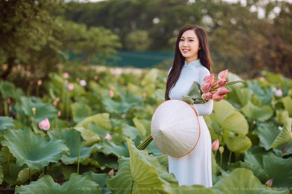 Theo các studio, phần lớn khách lựa chọn các gói chụp ảnh hoa sen tầm trung. Ảnh: FB Chụp ảnh sen Hồ Tây.