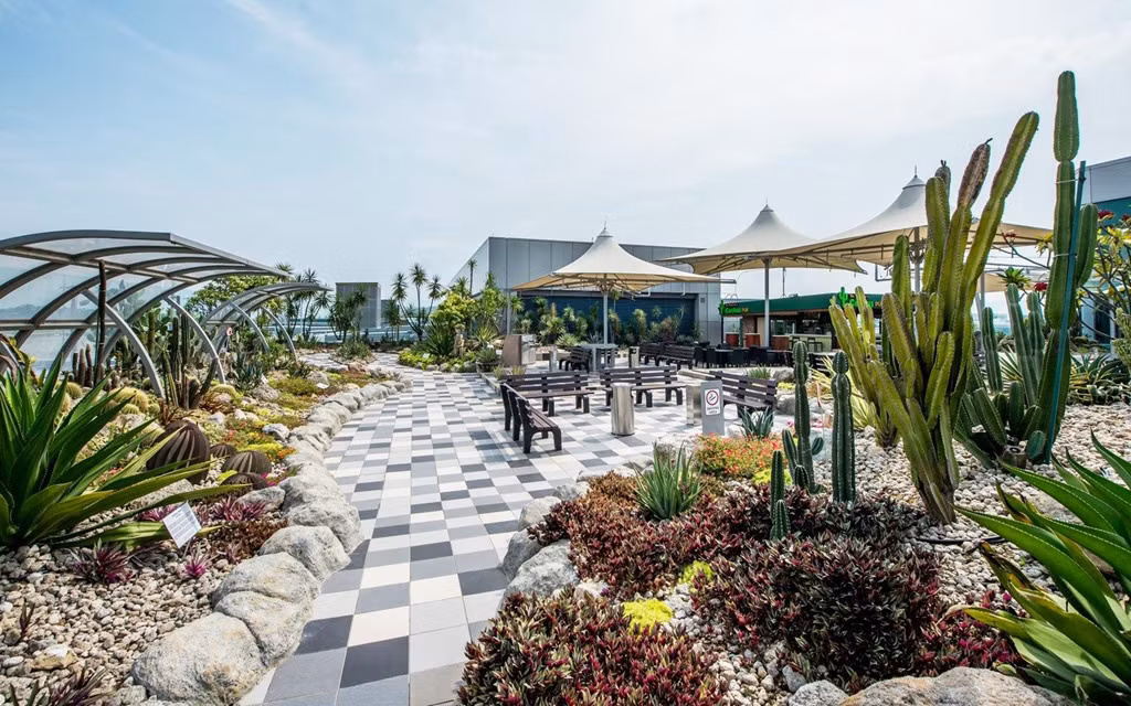 Sân bay Changi được thiết kế theo phong cách độc đáo và được đánh giá là một trong những cảng hàng không có kiến trúc nghệ thuật hàng đầu thế giới. Ảnh: Travel + Leisure.