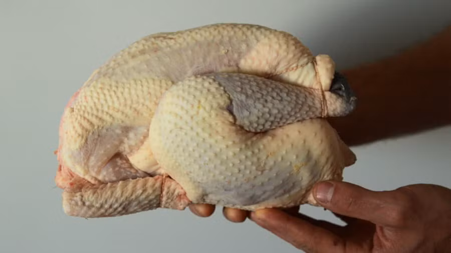 Bresse cũng nằm trong danh sách loại gà đắt nhất thế giới với giá bán 48 USD (khoảng 1,1 triệu đồng/kg).