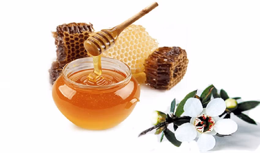 Trong khi mật ong thường có vị ngọt, hương thơm dịu nhẹ thì mật ong Manuka có màu vàng sẫm ngả nâu, mùi hăng hắc.