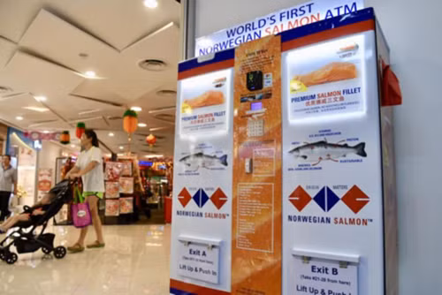 Theo đó, người Singapore có thể "rút" cá hồi tại 9 cây ATM hoạt động 24/7 tại đảo quốc này. Ảnh: The Straits Times.
