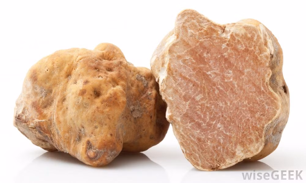 Trong khi đó, nấm truffle được coi là "kim cương" của mọi loại nấm. Giá trung bình của loại nấm này là 4.300 USD/kg (gần 100 triệu đồng). Ảnh: Wisegeek.
