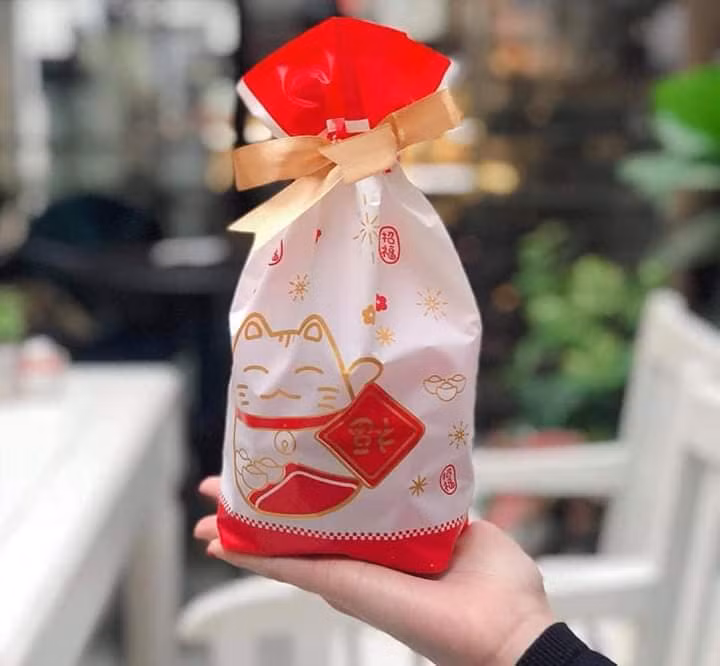 Túi đựng heo in hình heo con cực kỳ sang chảnh. Ảnh: FB Nhan Nghia Nguyen.