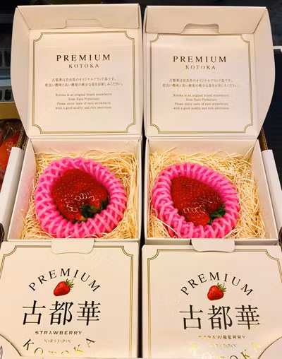 Theo VNE, một loại quả "kịch đắt" cũng đang được giới nhà giàu chọn làm quà tặng Valentine. Đó là dâu Kotoka có xuất xứ từ Nhật Bản được mệnh danh đắt nhất thế giới. Mỗi hộp chỉ có một quả bằng khoảng 3 ngón tay được bán với giá 500.000 đồng.