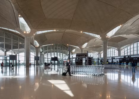 Trong khi đó, lưới hỗ trợ của các cột bê tông có các đầu chẻ được thiết kế trông giống như thân cây.