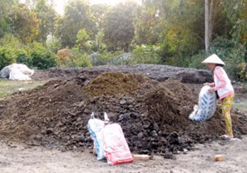 Chưa hết, các lái thương cũng thu gom phân trâu khô ở vùng Apachải (Điện Biên). Mỗi bao phân trâu khô nặng 15kg sẽ được mua với giá 60.000 đồng. Ảnh: Dân Việt