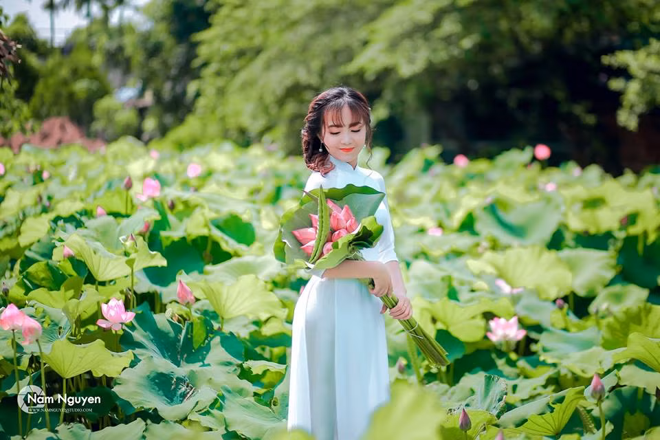 Nắm bắt được nhu cầu của giới trẻ, nhiều chủ đầm sen ở Hà Nội mỗi mùa lại mở dịch vụ bán vé cho khách vào tham quan và chụp ảnh.