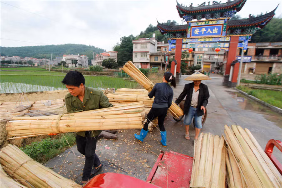 Làng Taolin ở tỉnh Hồ Nam (Trung Quốc) là nơi lưu truyền nghề làm giấy thủ công từ cây tre đã hơn 1.300 năm.