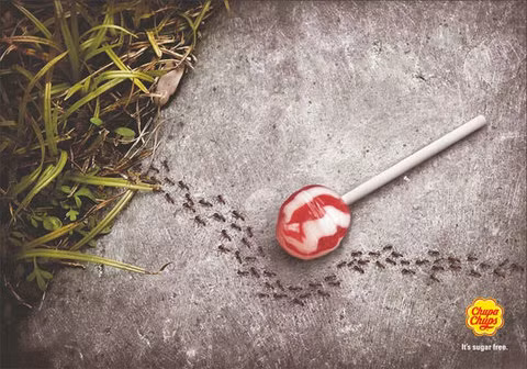 Kẹo mút không đường của Chupa Chups chất đến mức đàn kiến cũng phớt lờ.