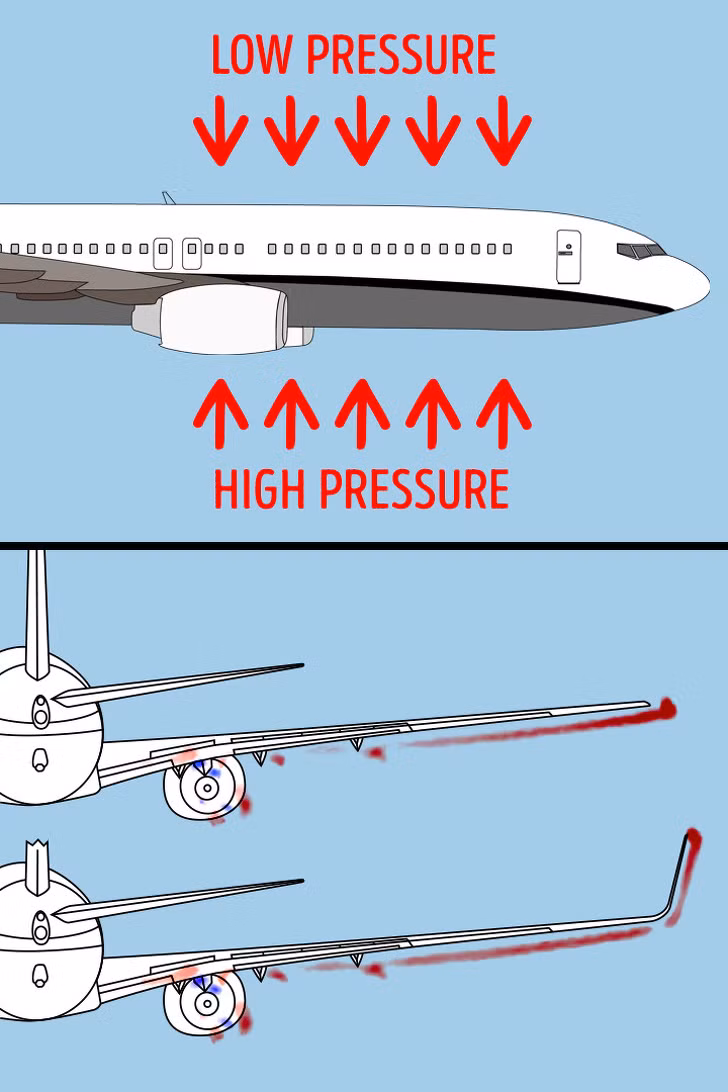 Các nhà khoa học quyết định uốn cong đỉnh cánh máy bay hướng lên trên nhằm giảm nhiễu loạn, kéo dài độ bền của cánh và tiết nhiên liệu trong quá trình di chuyển.