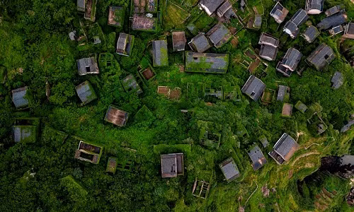 Nha phu kin cay xanh dep me man trong ngoi lang bo hoang
