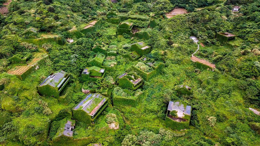 Các loài cây dây leo bám sát theo ngôi nhà, dọc các lối đi, tạo thành "lớp áo khoác" đặc biệt đến ngỡ ngàng.