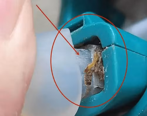 Mặt khác, hộp đựng bằng nhựa thường có nắp bằng gioăng cao su. Phần này có nhiều khe hở, độ ẩm cao dễ sinh nấm mốc. Sử dụng chúng sẽ khiến vi khuẩn có cơ hội thâm nhập vào thức ăn, không có lợi cho sức khỏe.