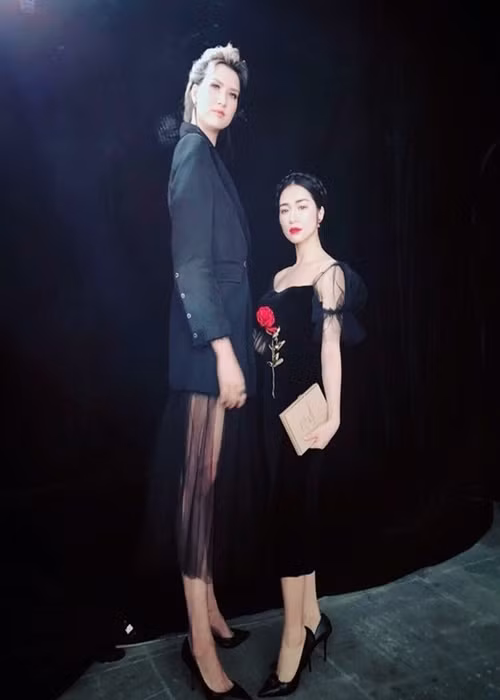 “Sieu cao khong lo” Hong Xuan - Thuan Nguyen dim hang sao Viet the nao?